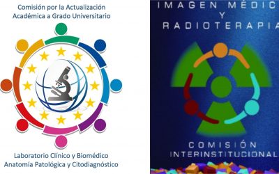 El día 2 de Diciembre, las 2 Comisiones de Técnicos Superiores se reunirán con el Subdirector General de Ordenación Profesional,