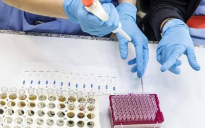 Los técnicos superiores recurren una convocatoria de Sanidad al pedirse requisitos inferiores a su categoría